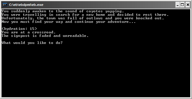 Desert of Skulls Adventure